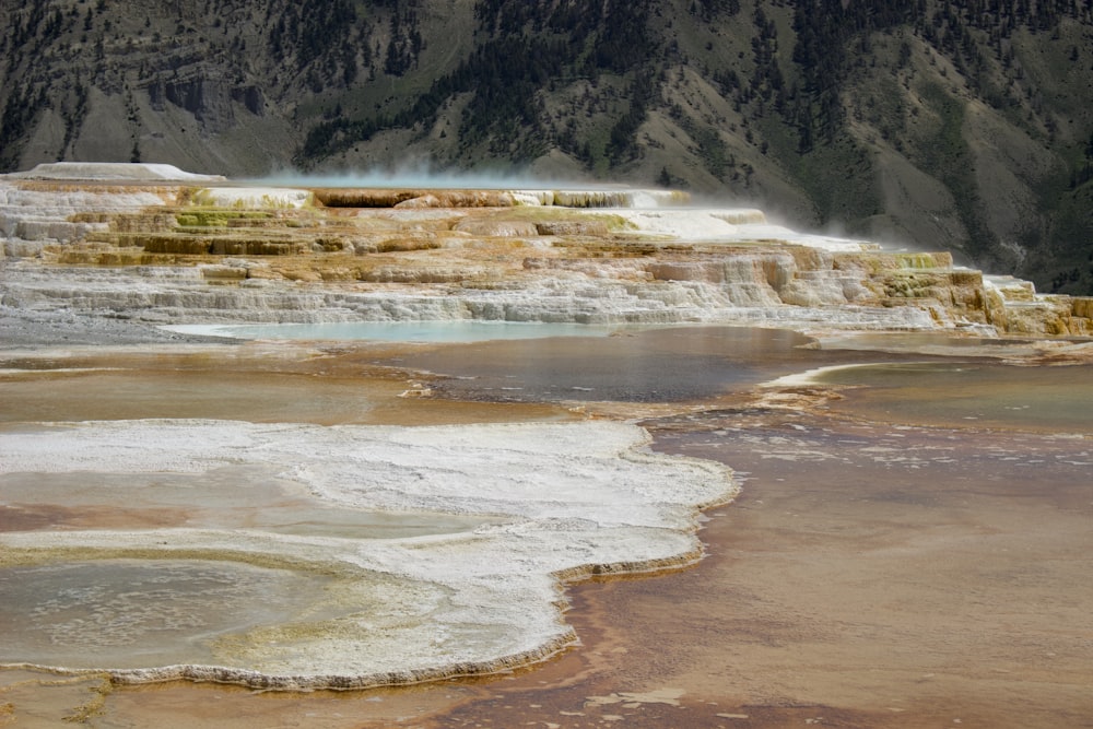 a group of geysers in a large body of water