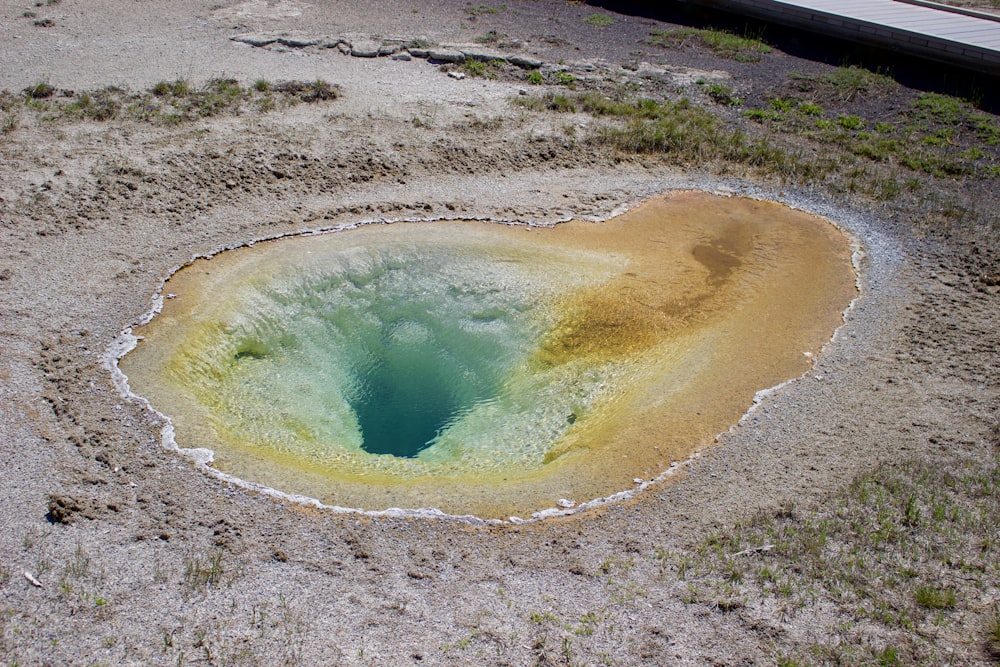 a heart shaped hole in the ground surrounded by grass