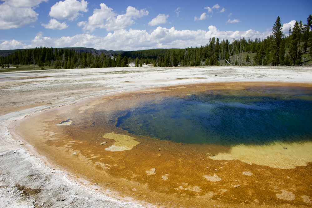 a large pool of water surrounded by trees