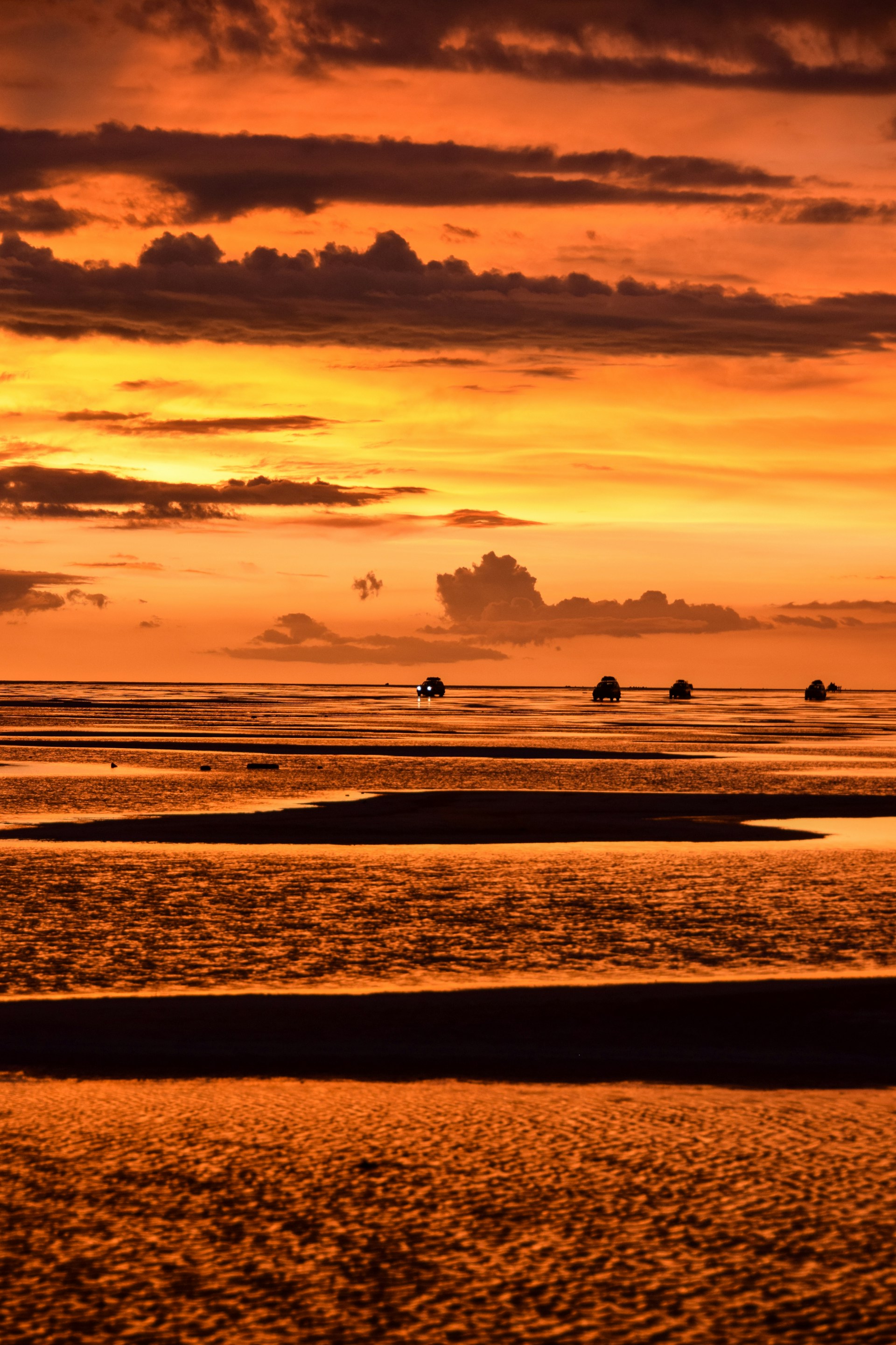 a group of elephants walking across a beach at sunset