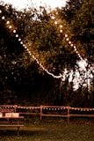 String lights draped casually over a backyard fence, creating a festive atmosphere.