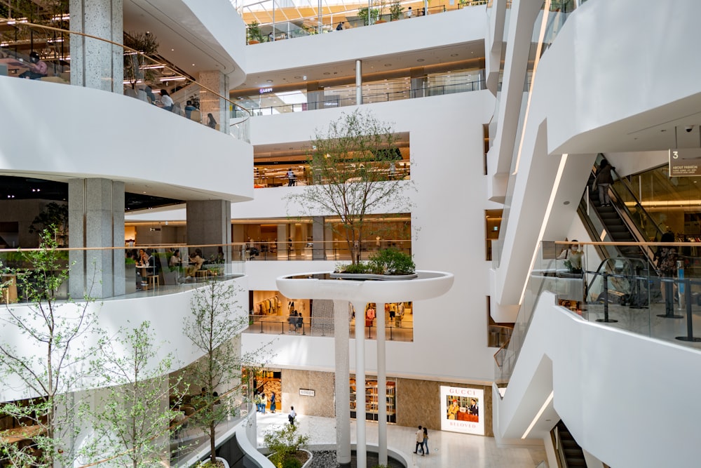 an atrium of a building with a tree in the center