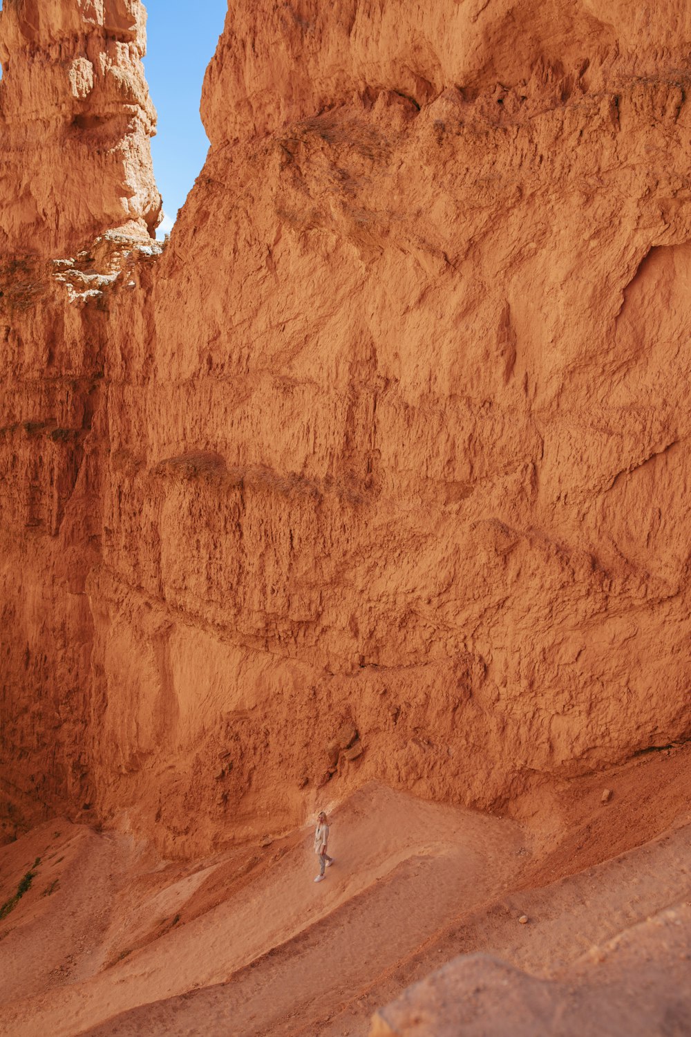 a person standing in the middle of a desert