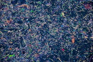 a very large amount of trash floating in the water