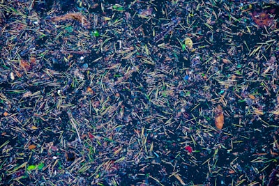 a very large amount of trash floating in the water