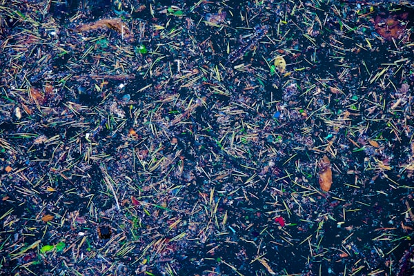 a very large amount of trash floating in the water