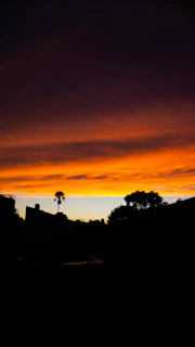 Sunset over a gritty Miami street with bold graffiti and palm trees silhouetted.