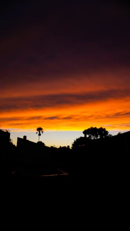 Sunset over a gritty Miami street with bold graffiti and palm trees silhouetted.