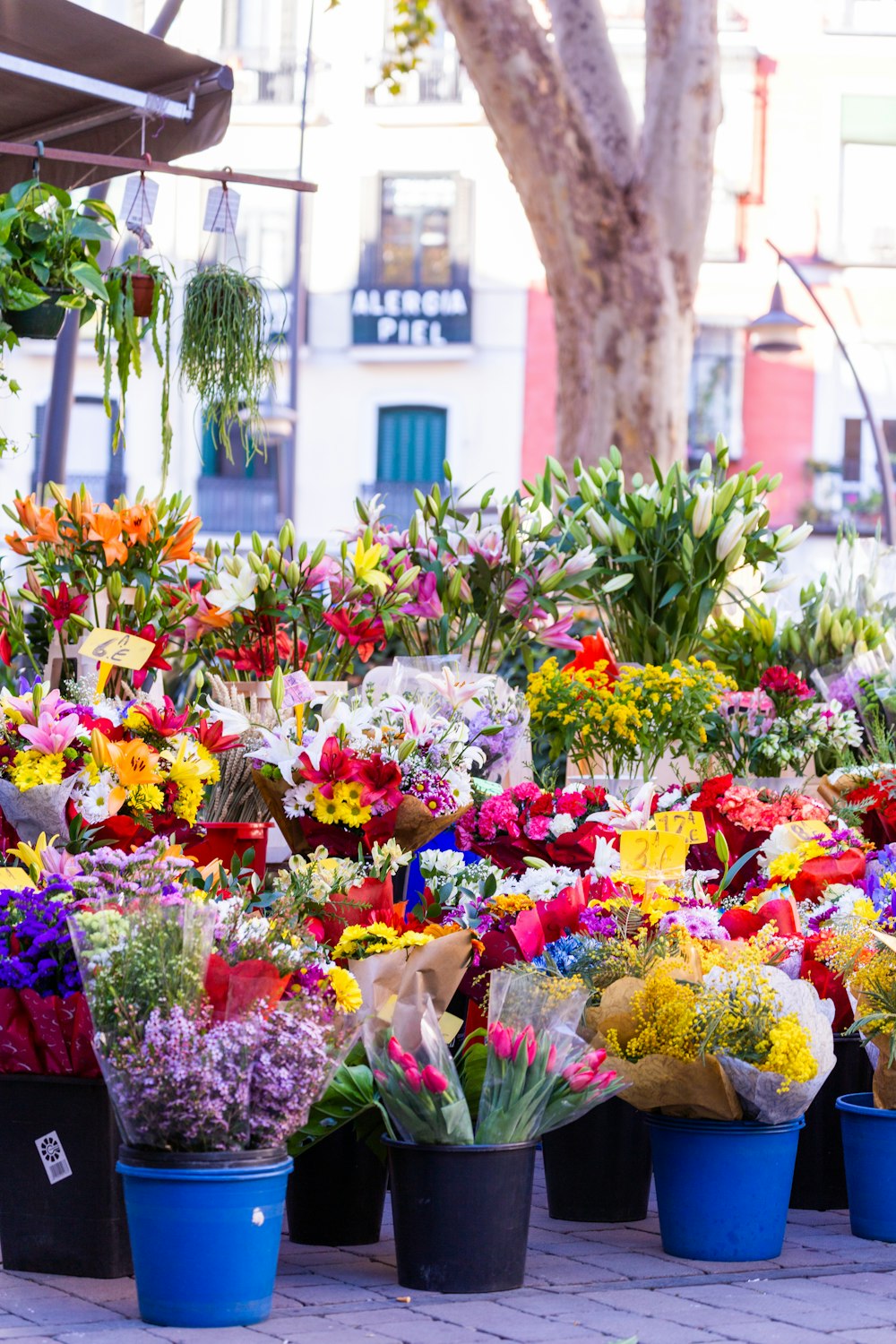 a bunch of flowers that are sitting on a table