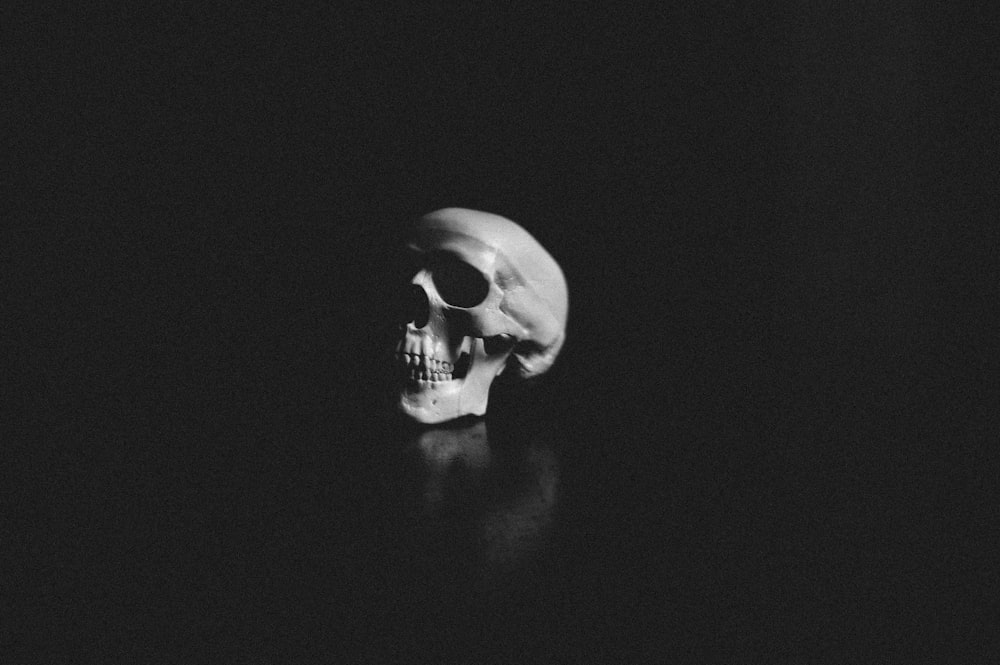 a black and white photo of a human skull