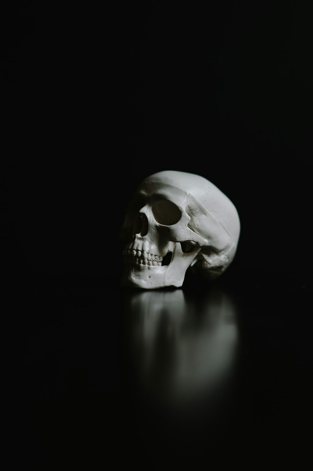 um crânio humano branco em um fundo preto