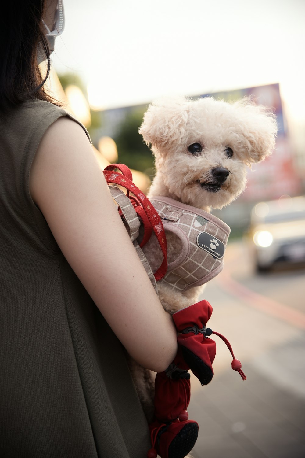 a woman carrying a small white dog in a carrier