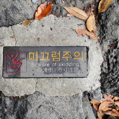 일화인삼차