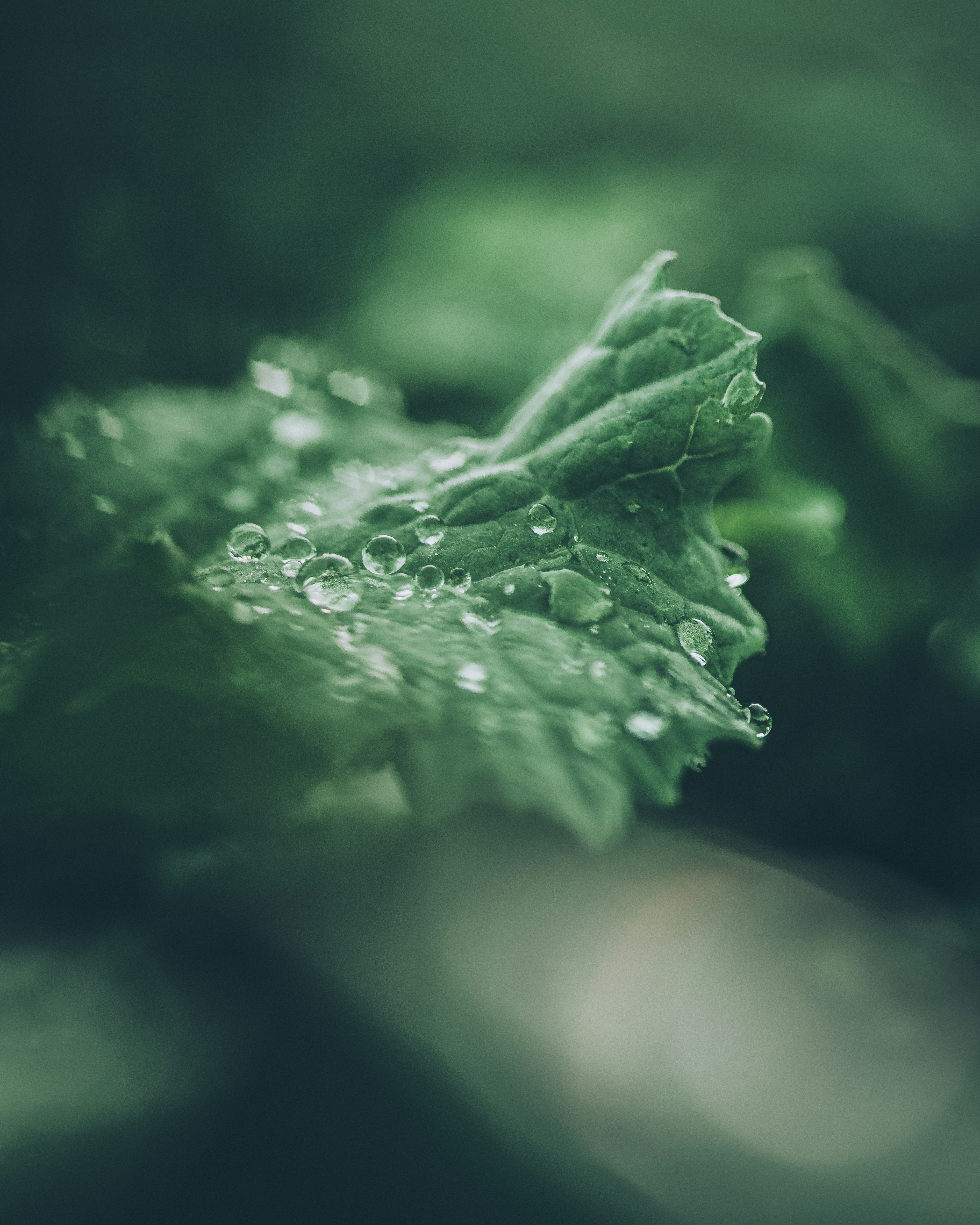 Photo by madseneqvist