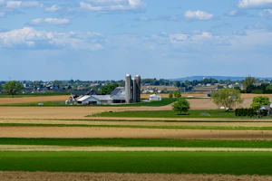 Grain silo and farmland for bulk wheat consignment