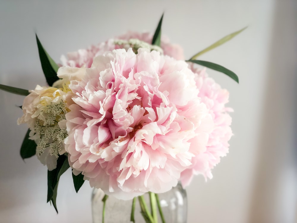 Un jarrón lleno de flores rosadas y blancas