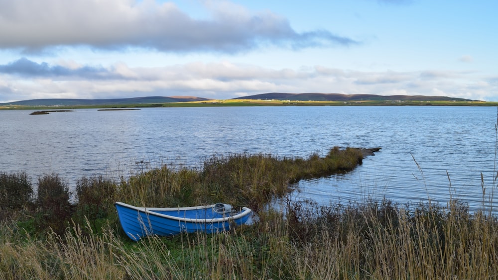 a blue boat sitting on the shore of a lake