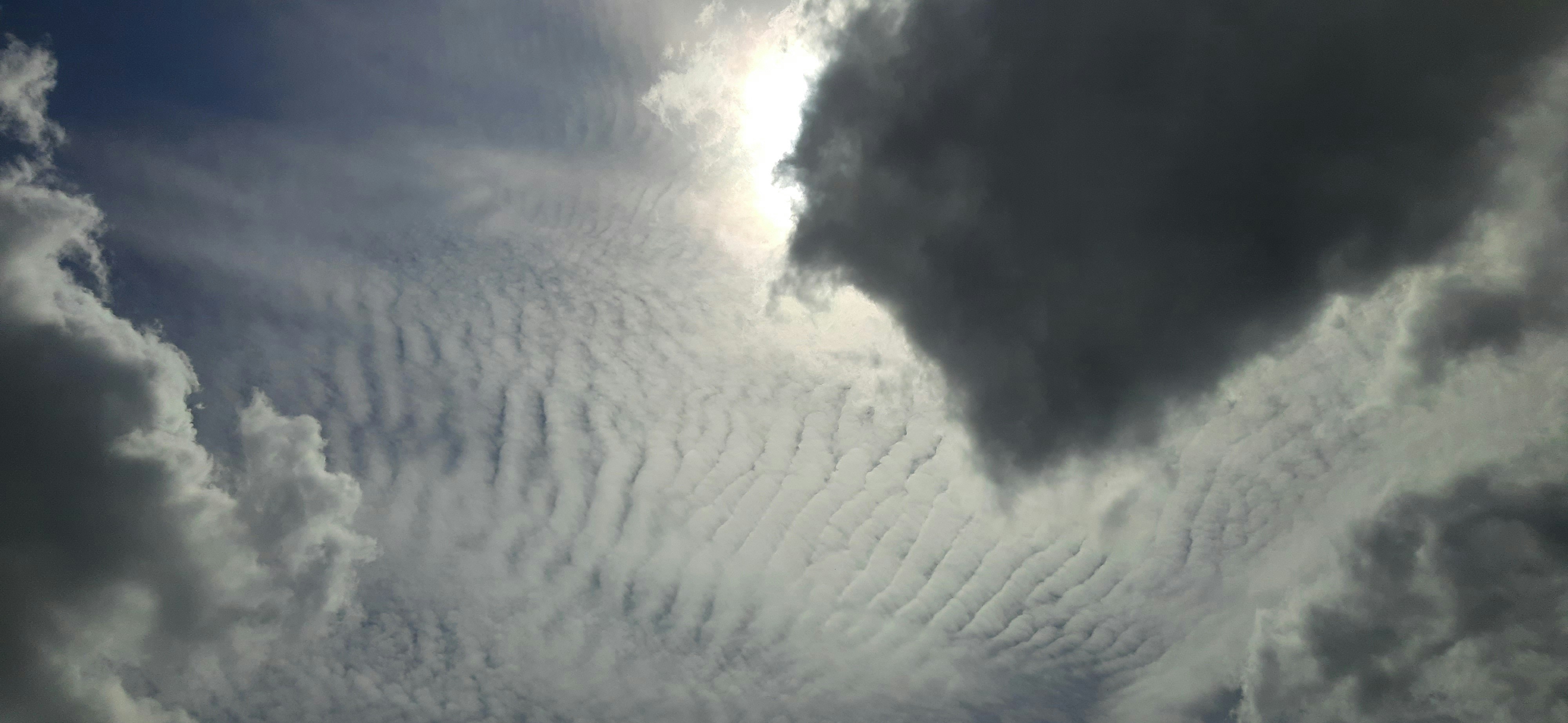 내일 날씨 예보와 트렌드 분석 날씨 변화에 따른 생활 가이드