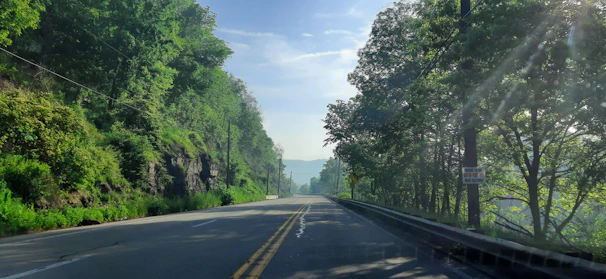 A scenic Indian road stretching through lush green countryside at sunrise