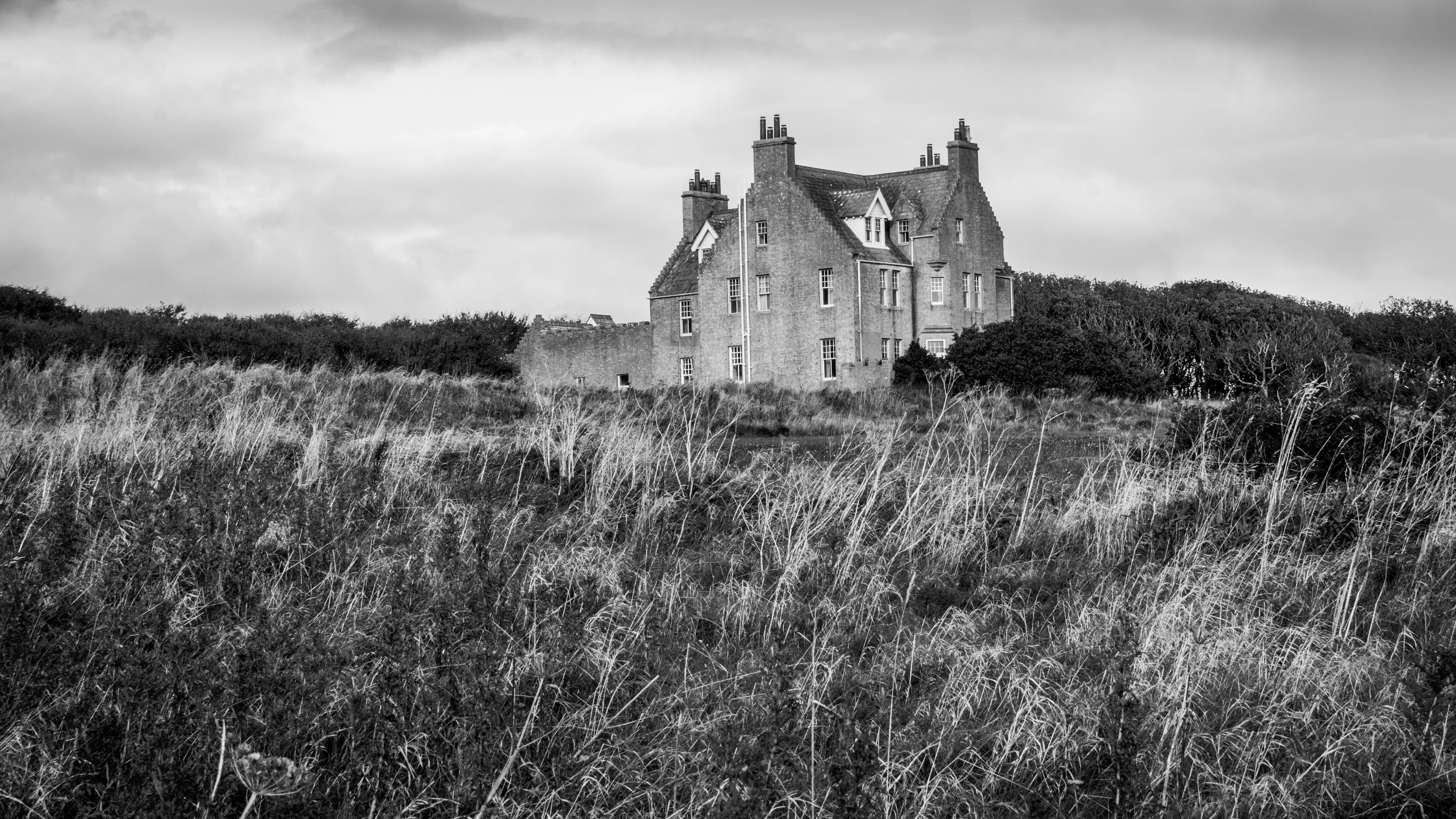 Photo by giuliahetherington