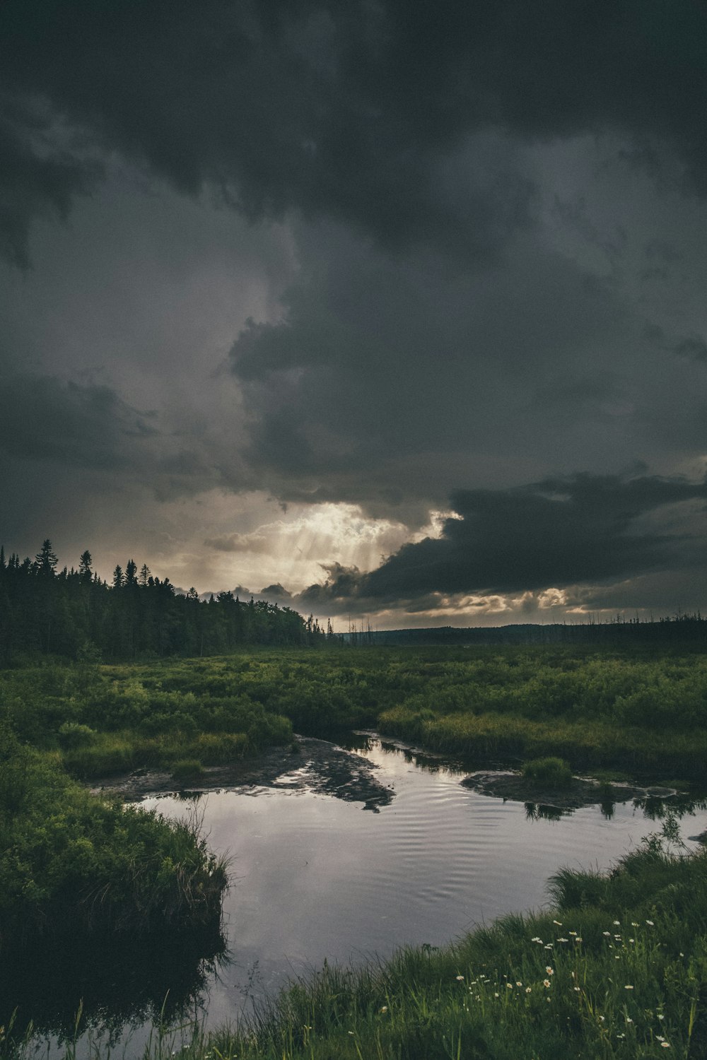 a large body of water surrounded by a lush green field