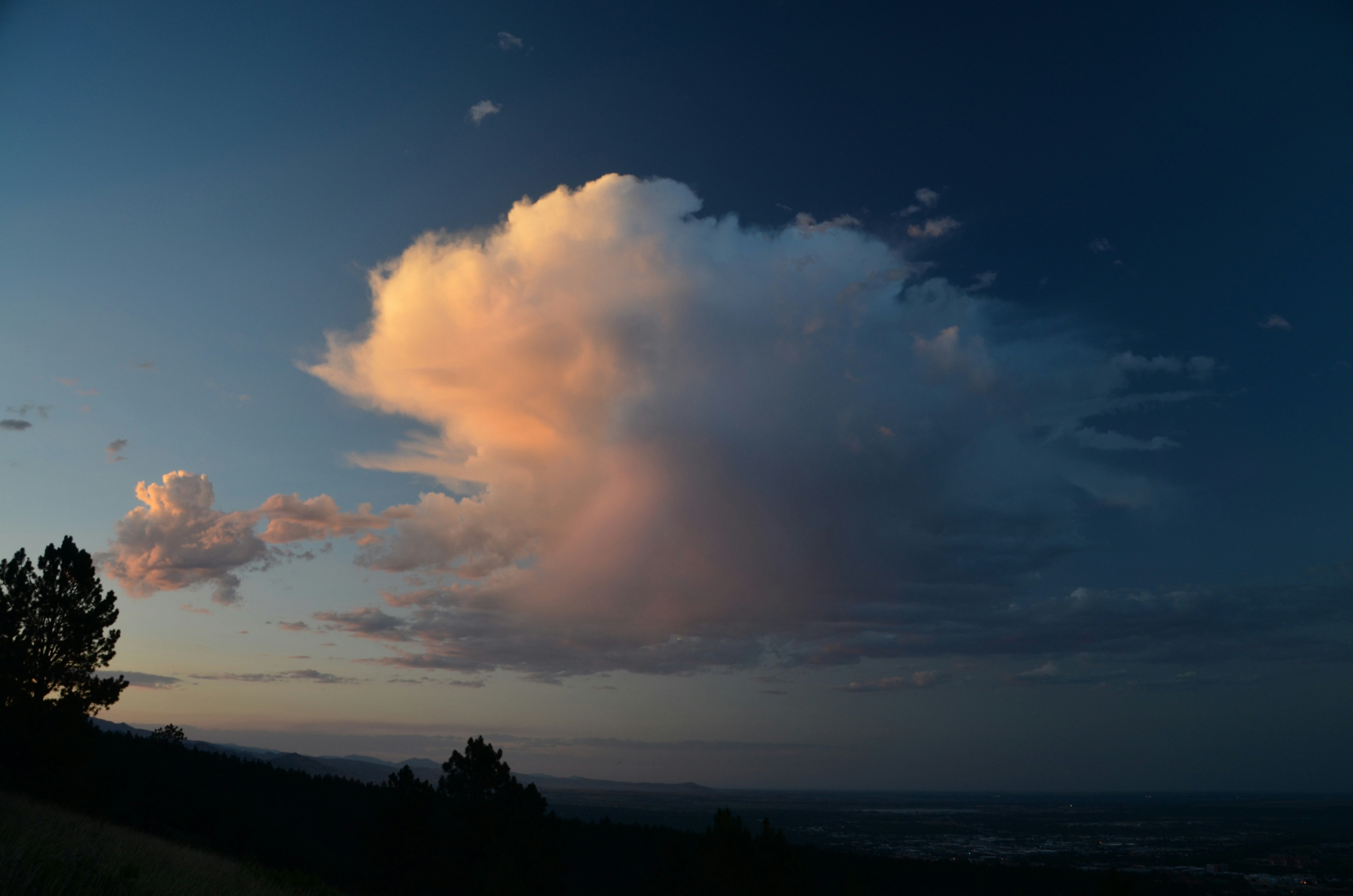 Trivia nights in Boulder, United States