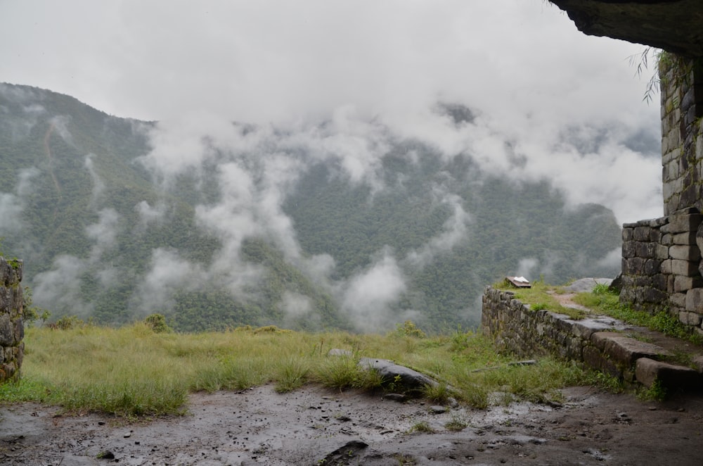 a view of a grassy area with a mountain in the background