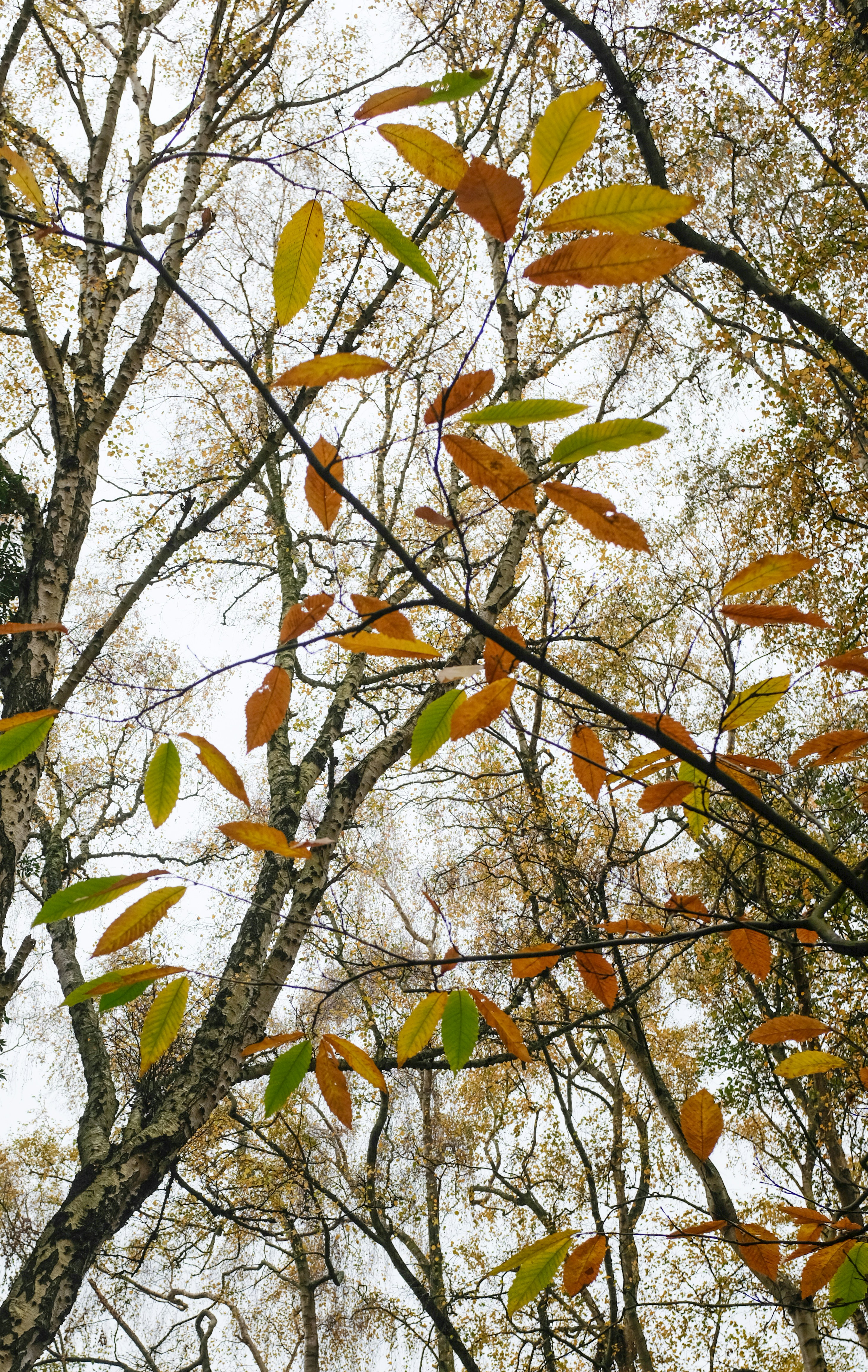 Photo by giuliahetherington