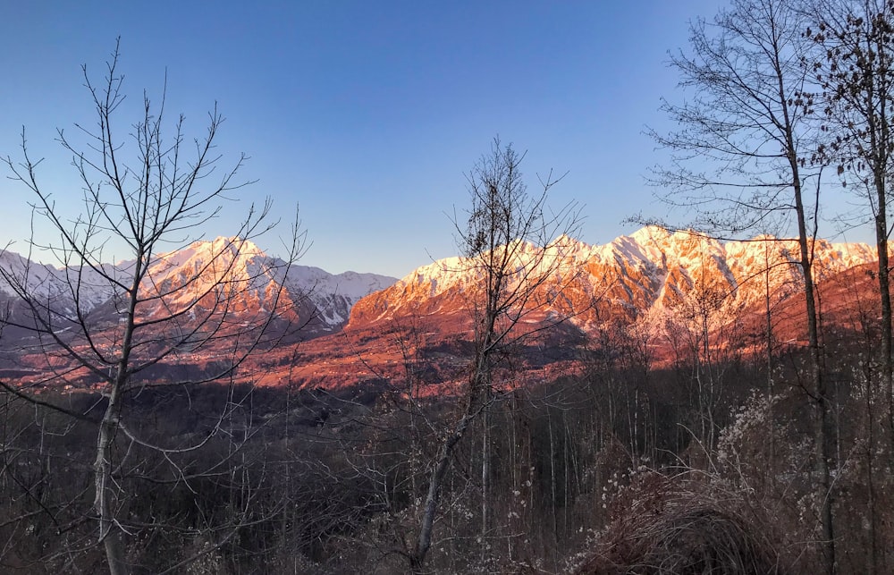 a view of a mountain range with trees in the foreground