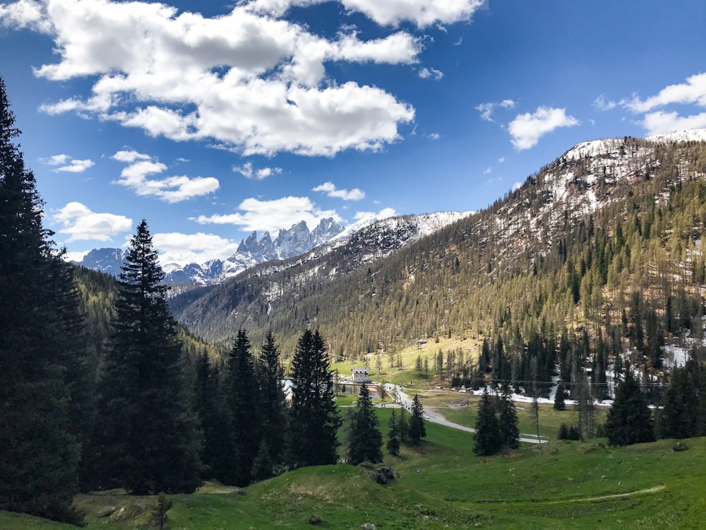 a scenic view of a valley with a mountain in the background