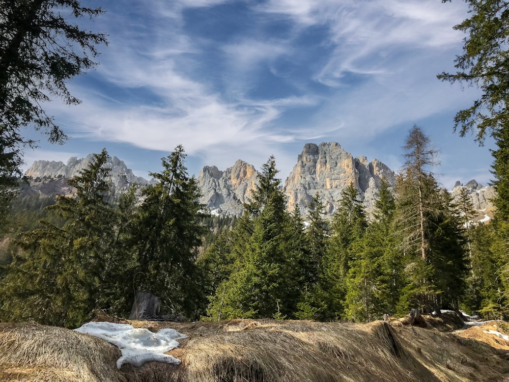 a scenic view of a mountain range with snow on the ground