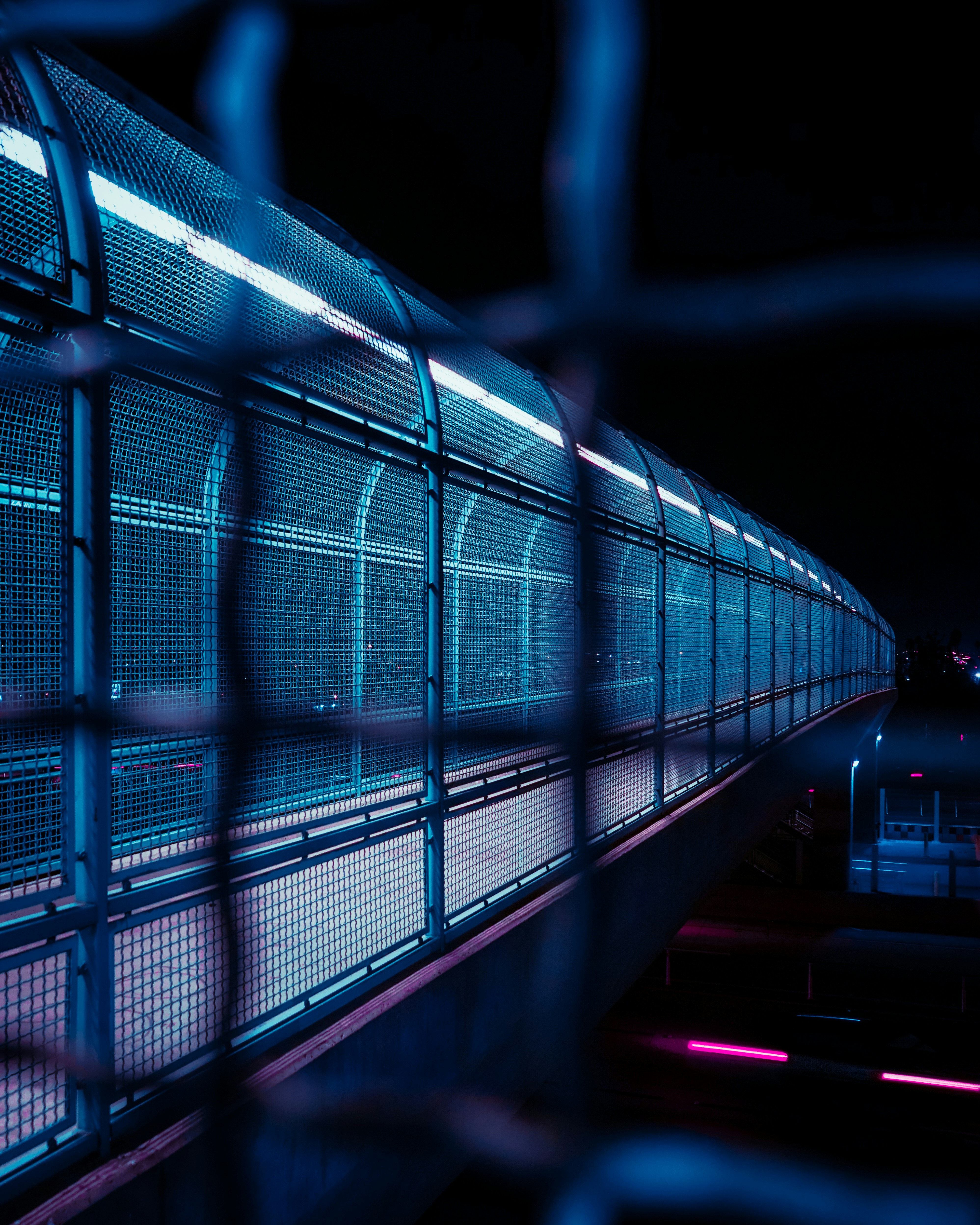 Photo by jayy_torres7