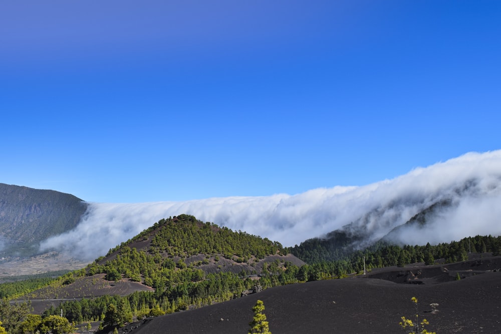 Una montaña cubierta de nubes y árboles