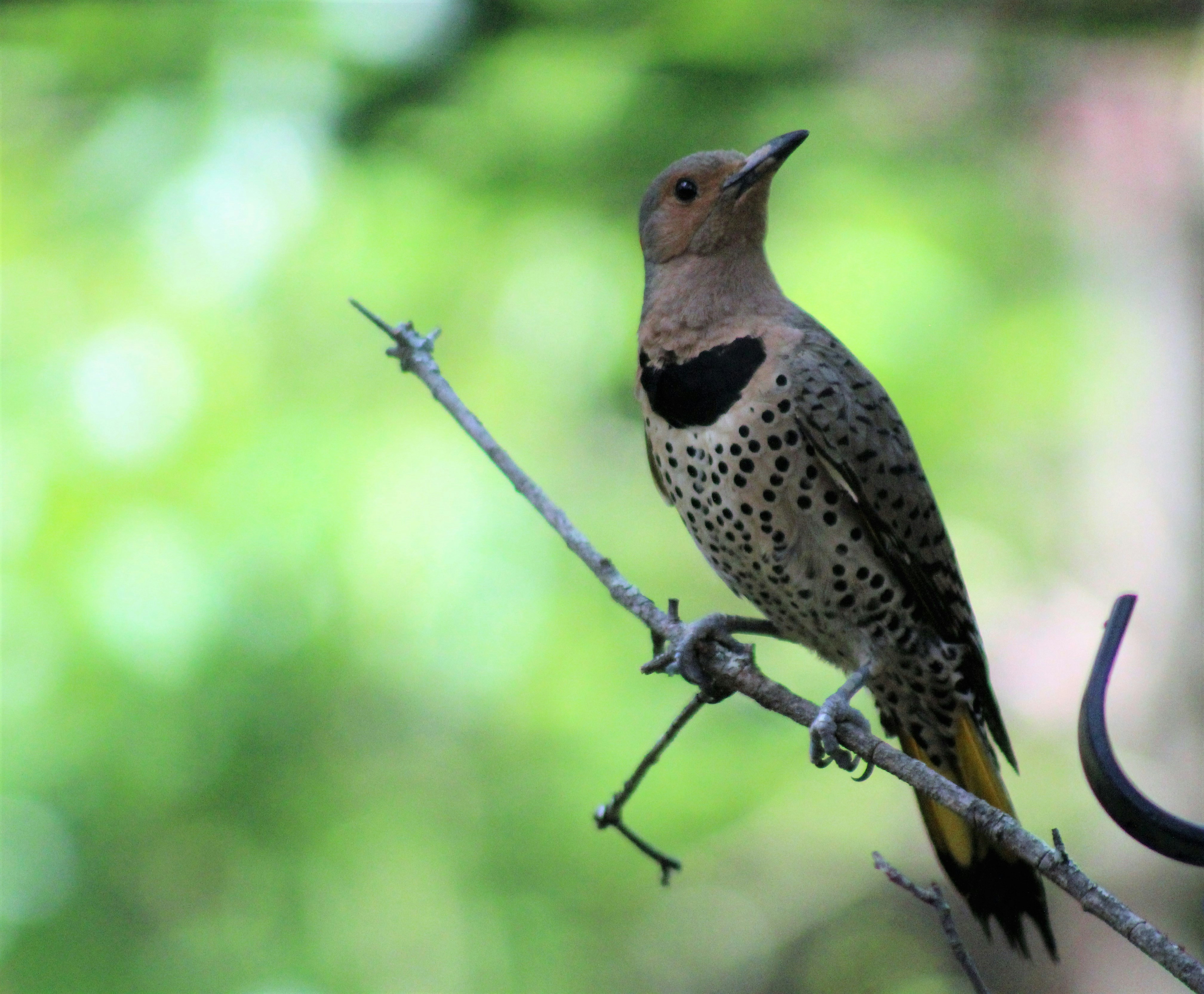 Photo by arkansas007