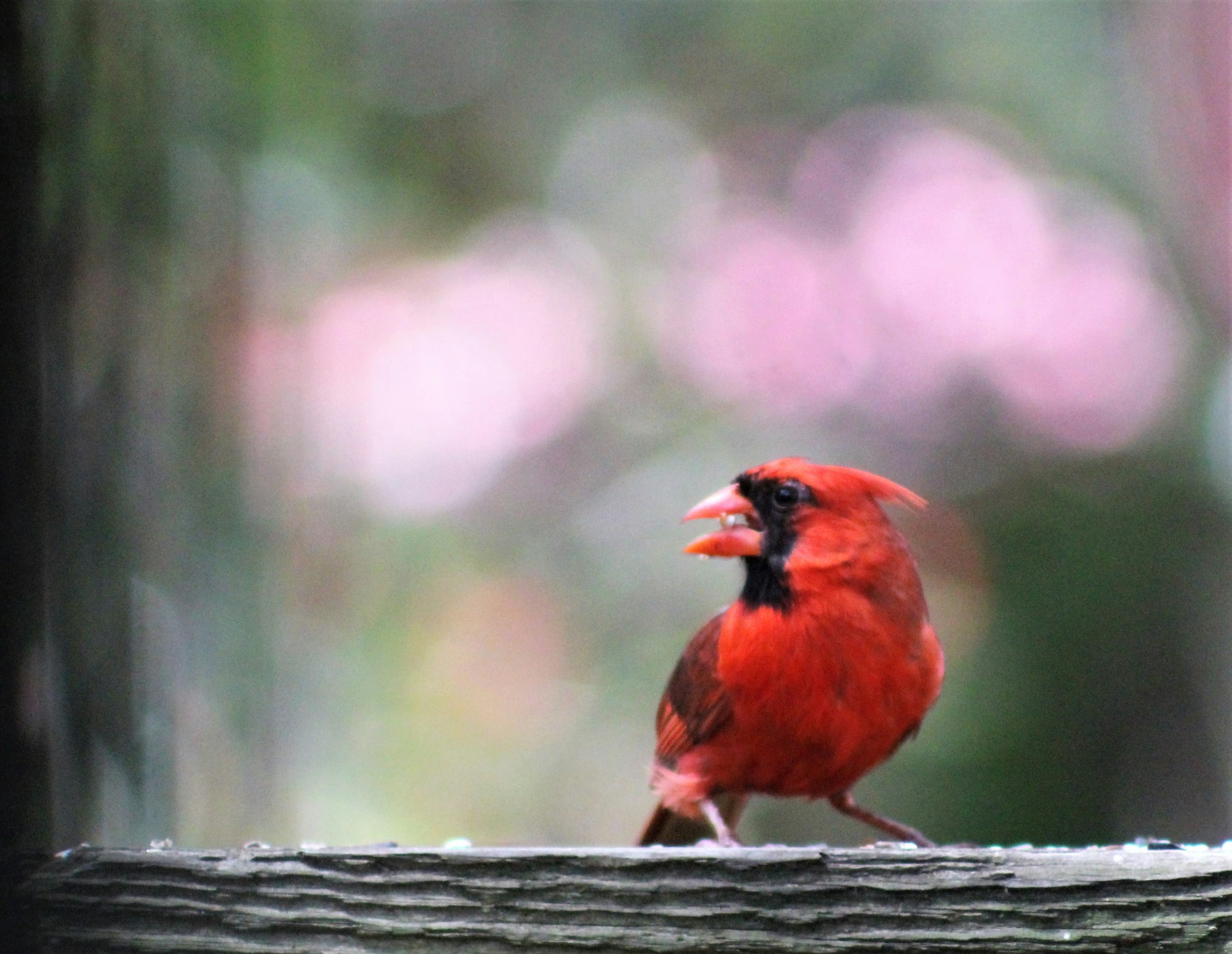 woman wearing yellow long-sleeved dress under white clouds and blue sky during daytime