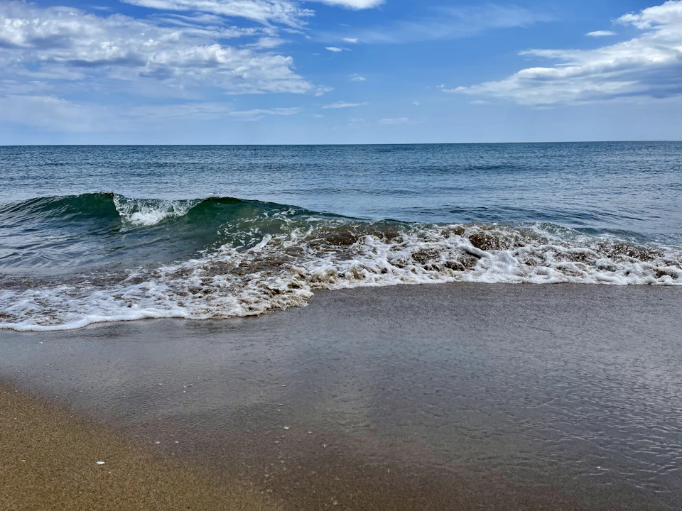 Serene beach scene features light brown sand and deep blue ocean stretching towards horizon line
