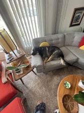 Modern Scandinavian style living room with a stylish pet bed placed near a cozy armchair.