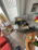 A cozy living room corner with lush indoor plants and a relaxed dog lying on a soft rug.