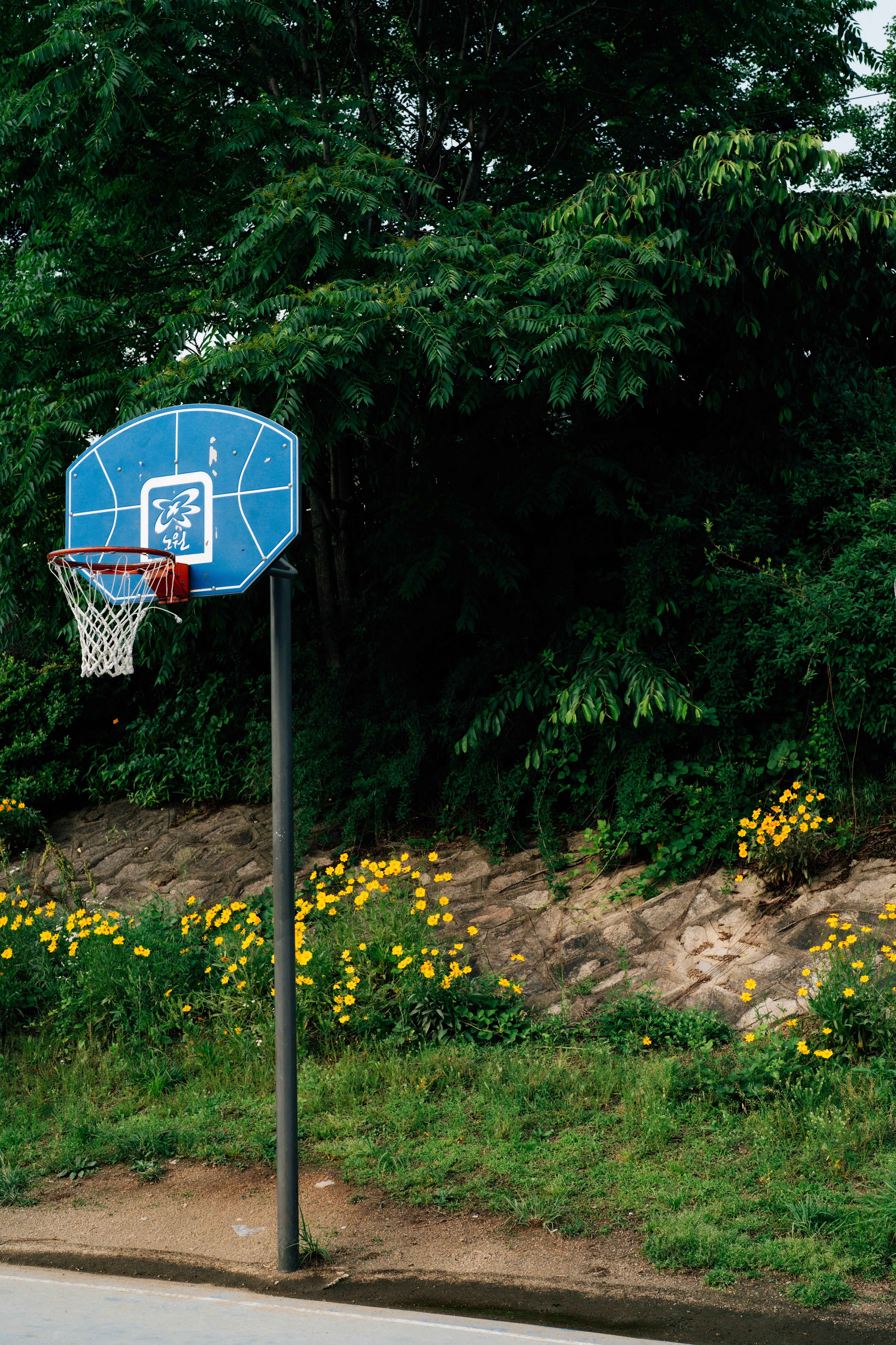 a blue basketball hoop in the middle of a field