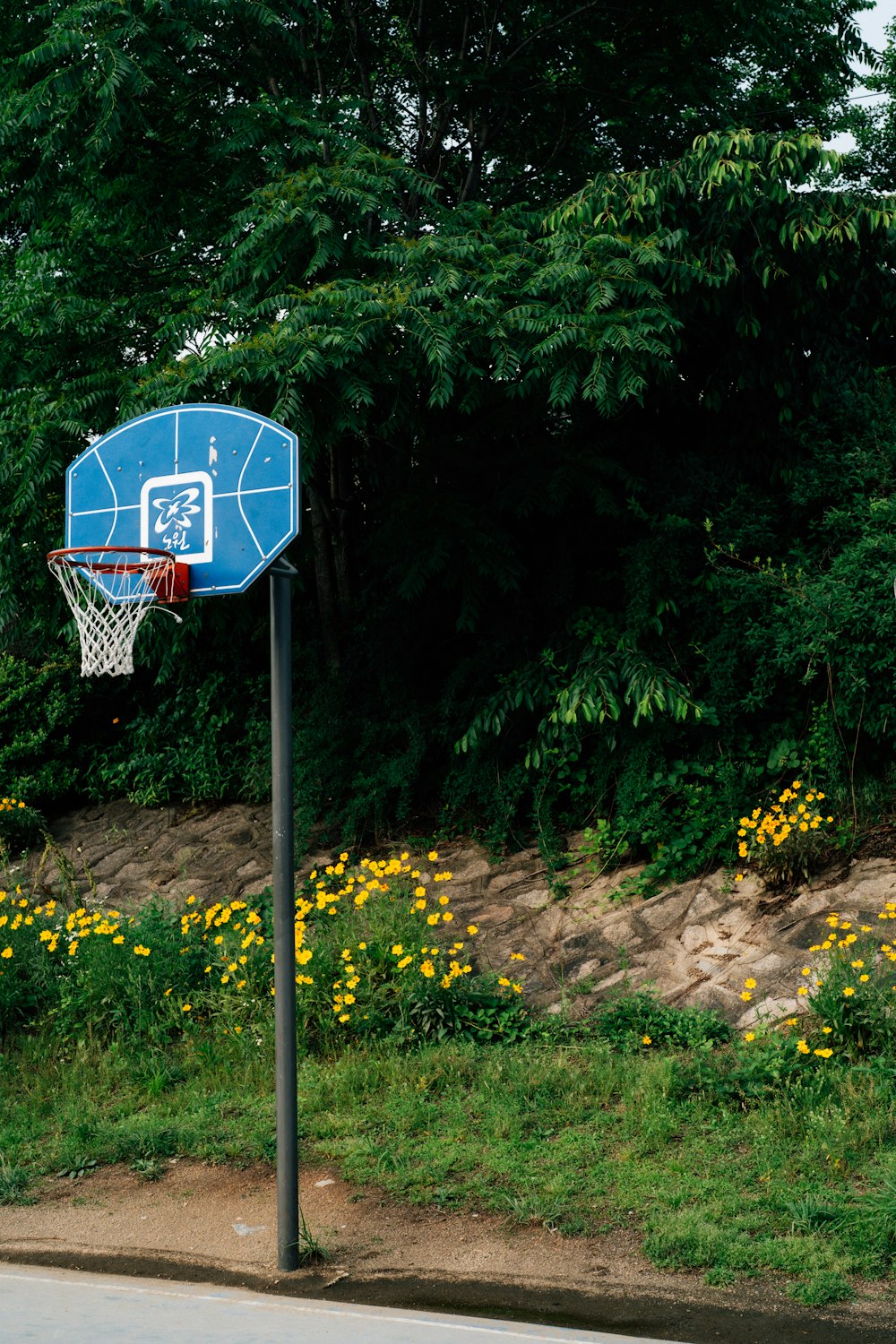 a blue basketball hoop in the middle of a field
