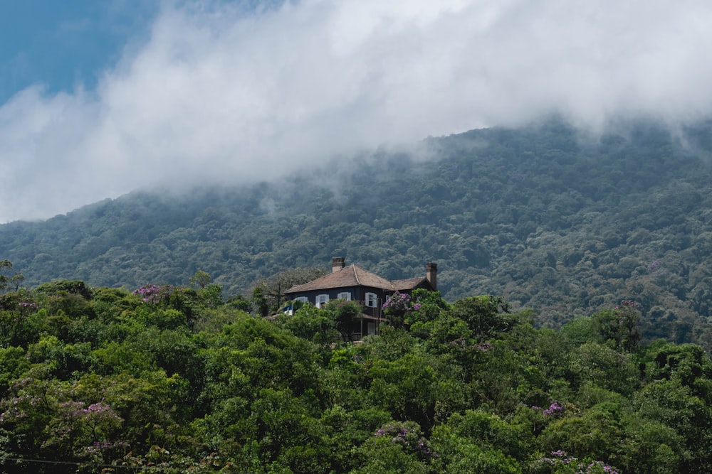 a house in the middle of a lush green forest