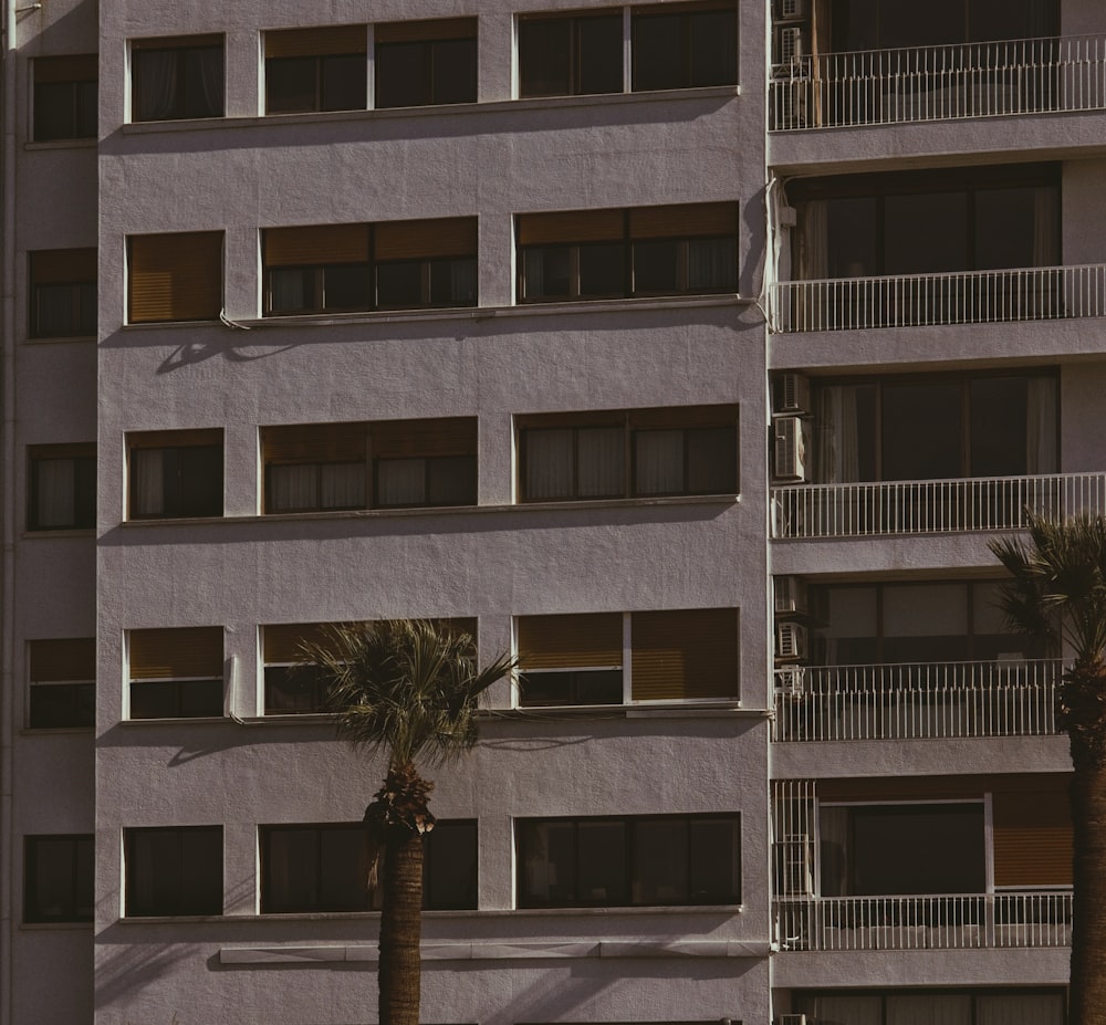 a tall building with palm trees in front of it