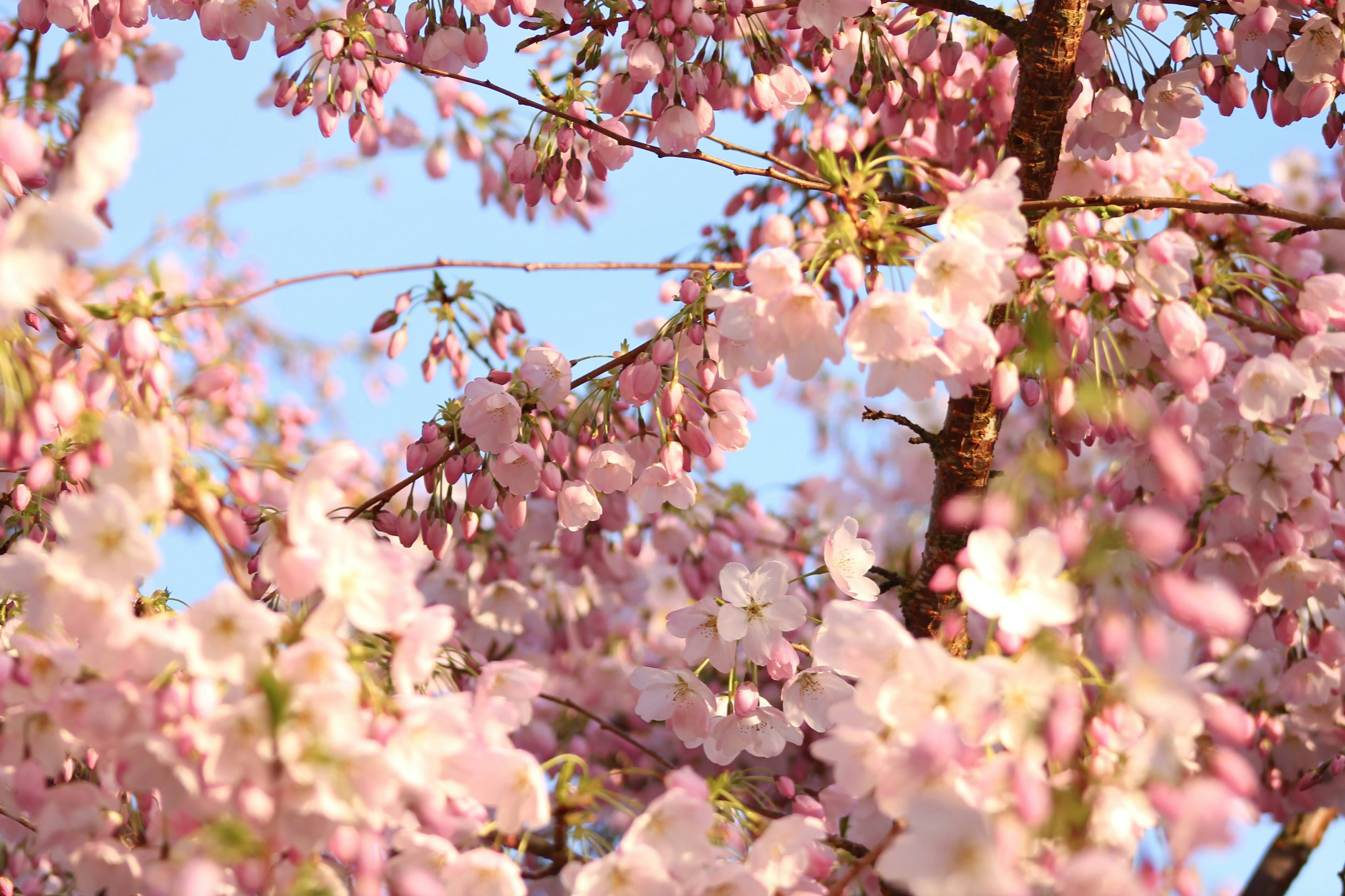 Photo by diyaa315