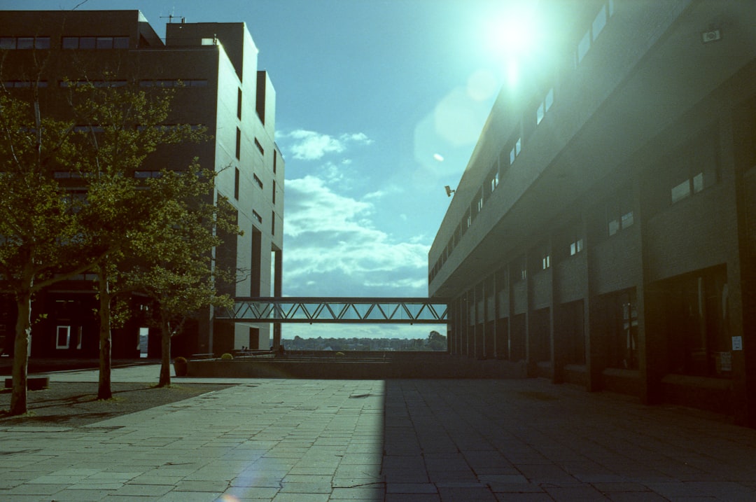 the sun shines brightly on a city street, UMass Boston Campus. Nikon FE2 + Kodak Ektachrome 100 cross-processed in C-41 