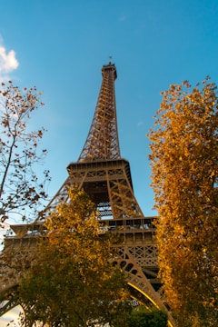 a view of the eiffel tower from behind some trees