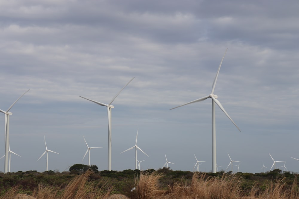 a group of wind turbines in a field