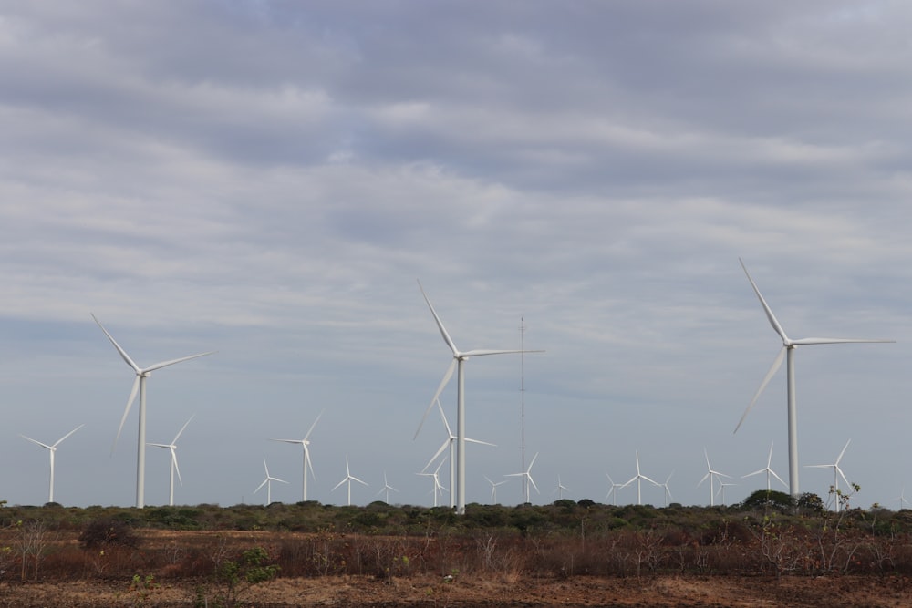 a group of wind turbines in a field