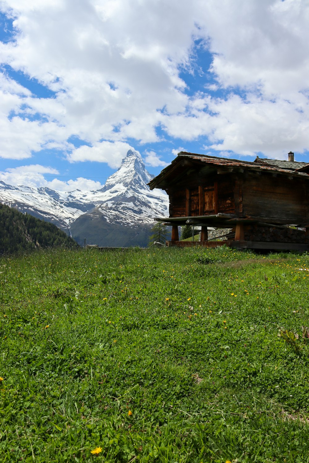 eine kleine Hütte auf einem Feld mit Bergen im Hintergrund