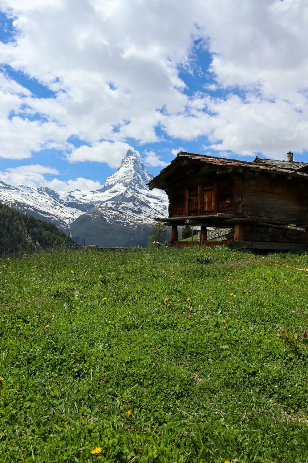 a small cabin in a field with mountains in the background