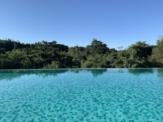 a pool with a clear blue water surrounded by trees